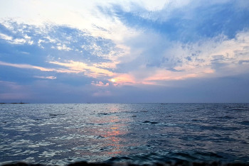 Фотография к новости: Историческое соглашение о защите мирового океана подписали страны-члены ООН