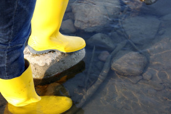 Фотография к новости: Сельчане в Жетысуской области оказались заблокированы в своих домах
