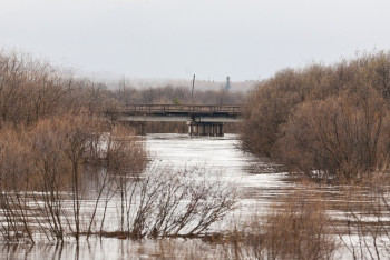 Фотография к новости: Паводки начались в трёх областях Казахстана