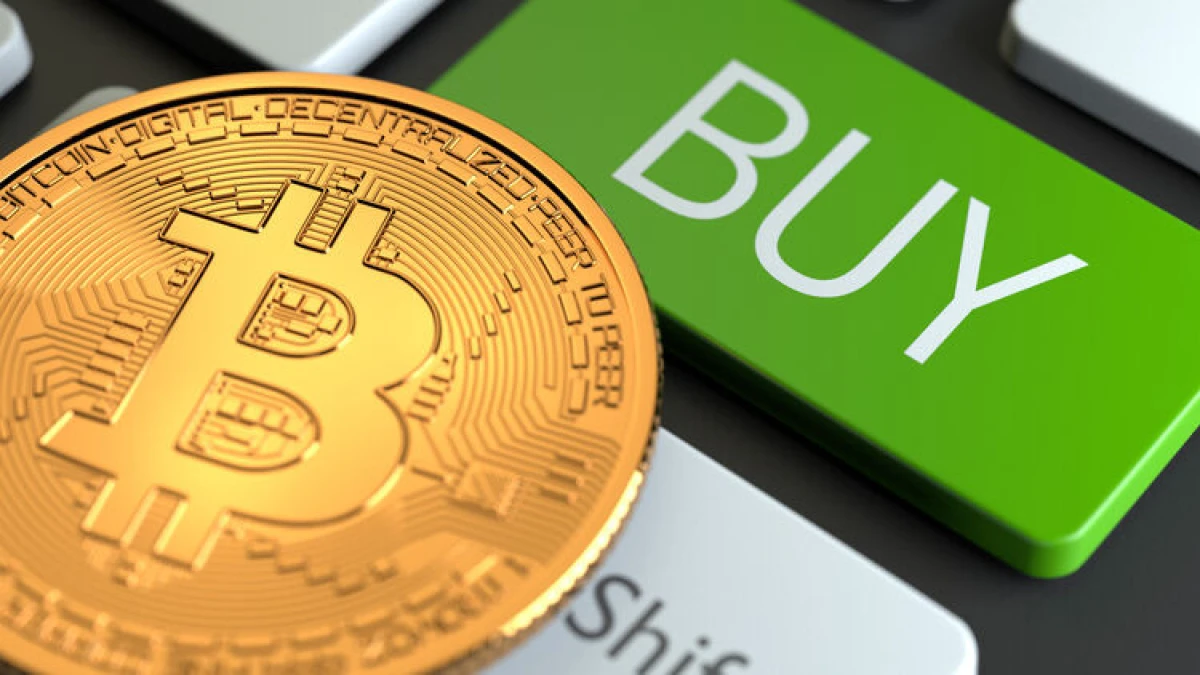 CryptoPoint Expert