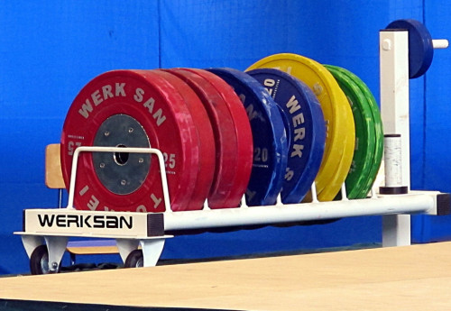 Фотография к новости: Допинговый скандал не помешает Ильину баллотироваться на пост главы Федерации тяжёлой атлетики