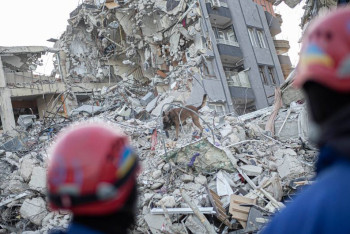 Фотография к новости: СК "Евразия" осуществила первые выплаты за разрушения в Турции