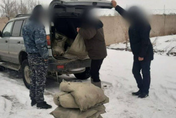 Фотография к новости: 149 кг карасей незаконно перевозил павлодарец