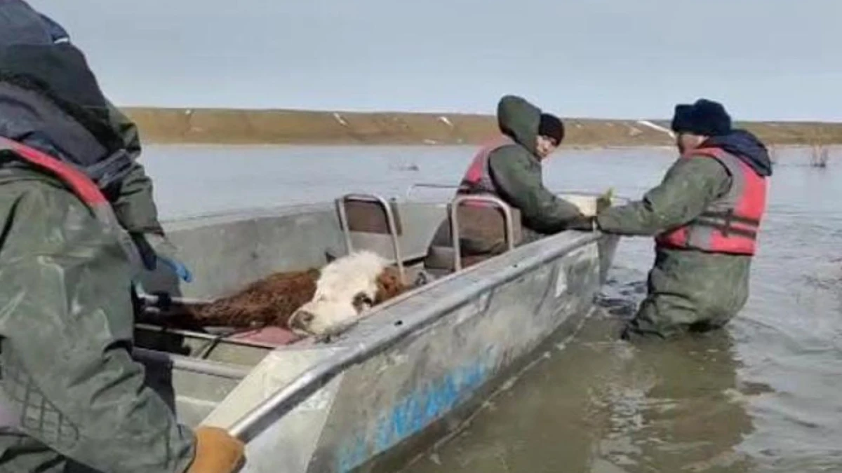 ДЧС Актюбинской области