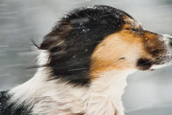 Фотография к новости: В каких регионах Казахстана объявлено штормовое предупреждение