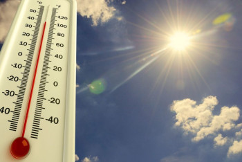 Фотография к новости: Февраль 2023 назвали одним из самых тёплых за последние 80 лет