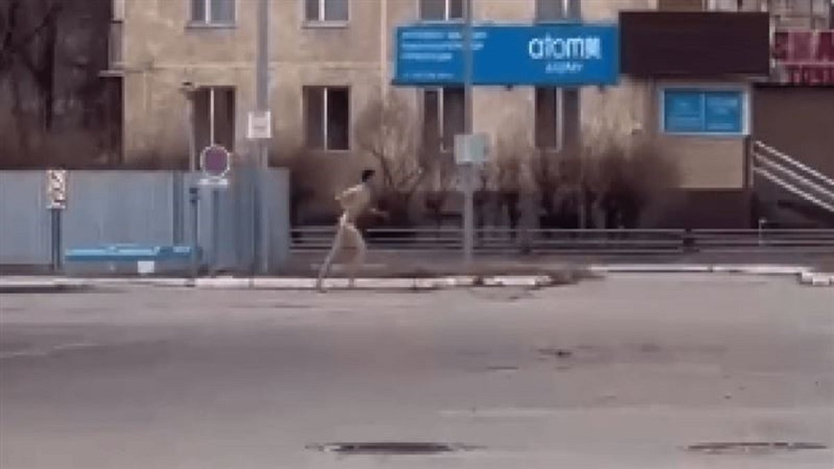 Забег голышом: стало известно, как наказали хулиганившего жителя Талдыкоргана