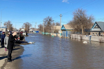 Фотография к новости: Более 50 домов затопило из-за паводков в Актюбинской области