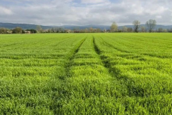 Фотография к новости: В Казахстане упразднят земельные комиссии