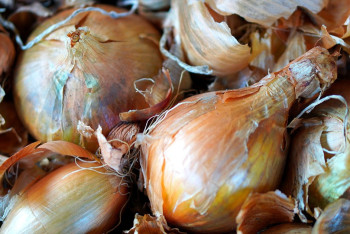 В Казахстане хотят разрешить экспорт лука по квотам