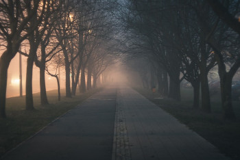 Фотография к новости: Возможное ухудшение качества воздуха ожидает жителей четырёх городов