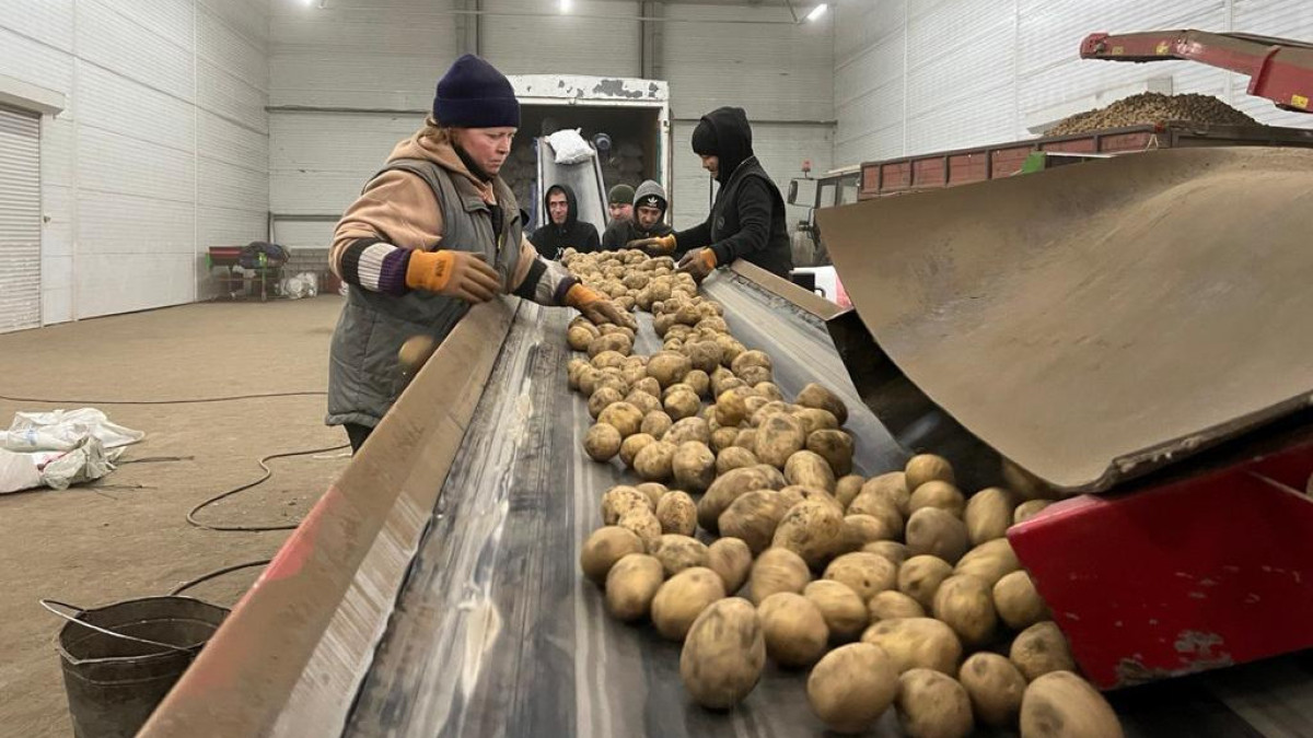 Министерство сельского хозяйства Республики Казахстан