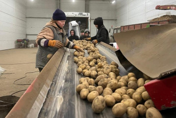 Фотография к новости: В этом году в Казахстане откроют 26 новых овощехранилищ
