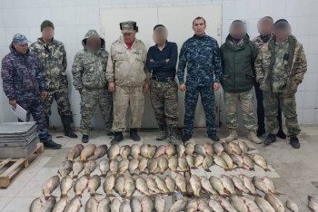 Фотография к новости: Крупную партию рыбы изъяли туркестанские полицейские