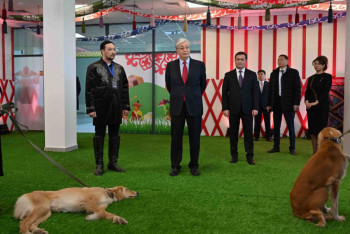 Фотография к новости: На выставке собак породы тазы побывал глава государства