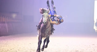 Токаеву показали шоу наездников Nomad Stunts