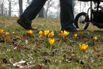 Фотография к новости: Ребёнок выпал из коляски во время прогулки в Атырау