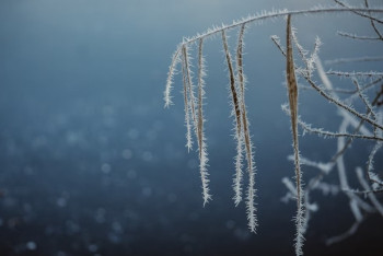 Фотография к новости: В восьми областях Казахстана объявлено штормовое предупреждение