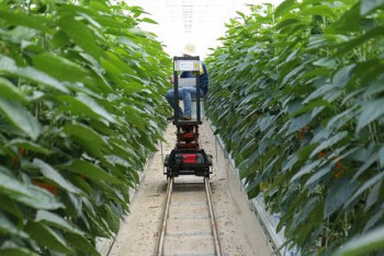 Фотография к новости: Школьник из Туркестанской области изобрёл "умную" ферму