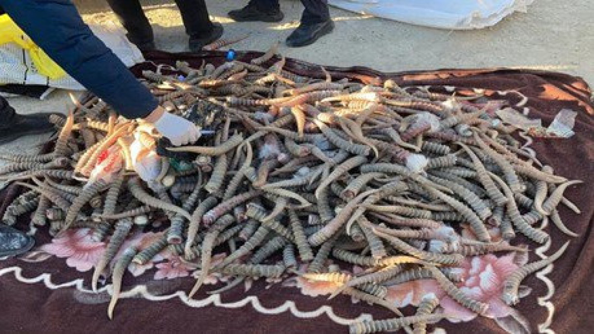 КНБ РК / иллюстративное фото