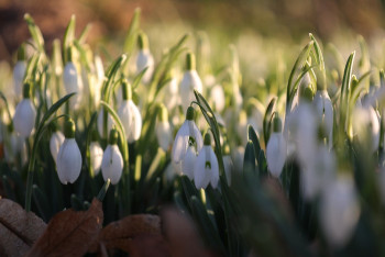 Фотография к новости: Какой будет погода на выходных в Казахстане