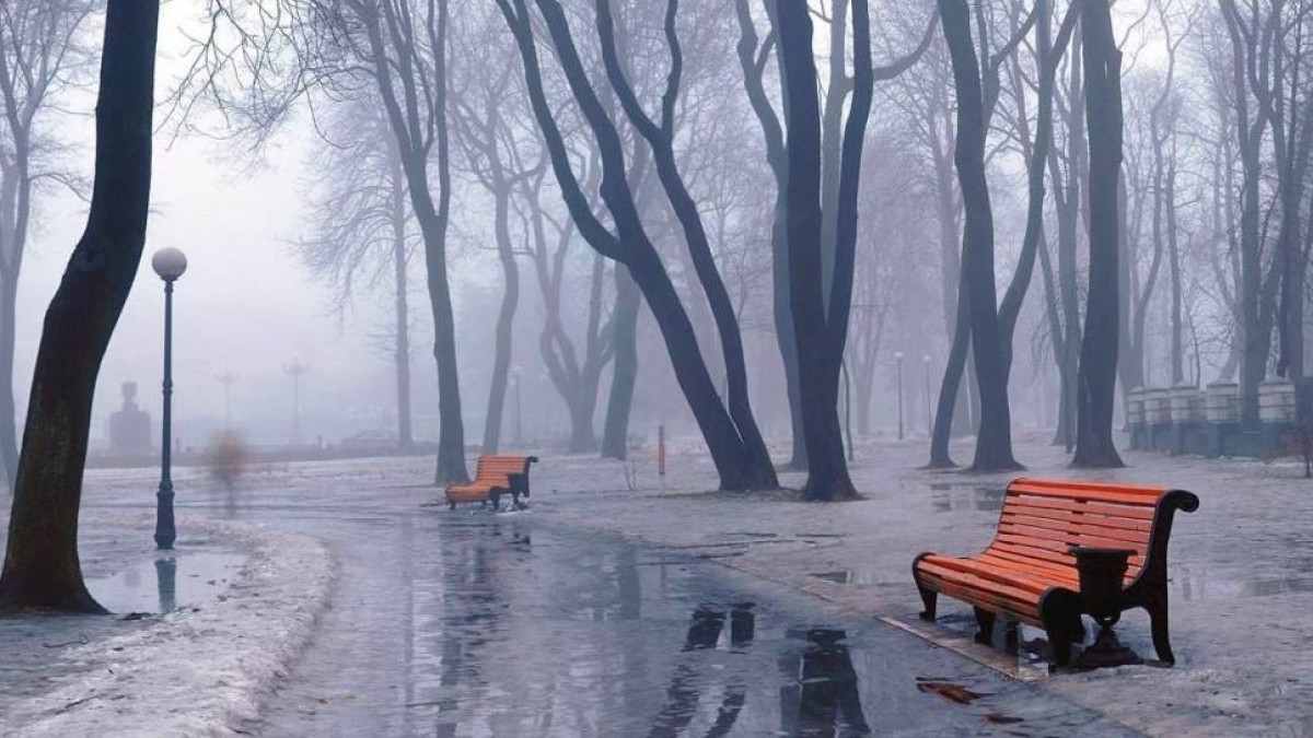 facebook.com/donskoykray