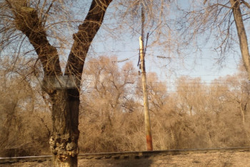 Фотография к новости: ЕБРР вложил деньги в КТЖ. На что их потратят