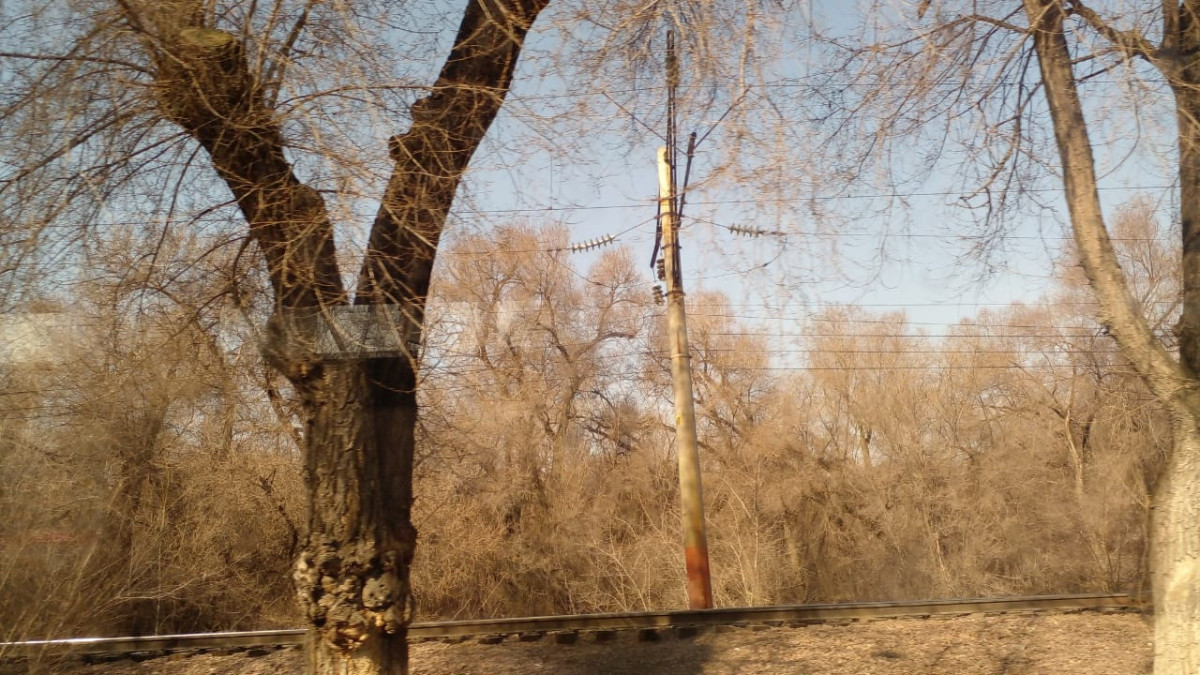 Александр Шахбазов