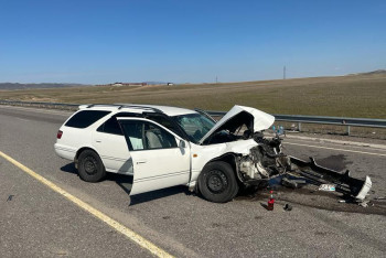 Фотография к новости: Шестерых пострадавших доставили в больницу после ДТП на трассе Алматы — Оскемен