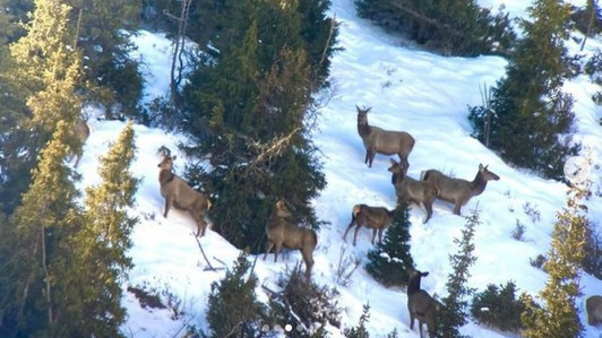 instagram.com/tabigat_union.kz