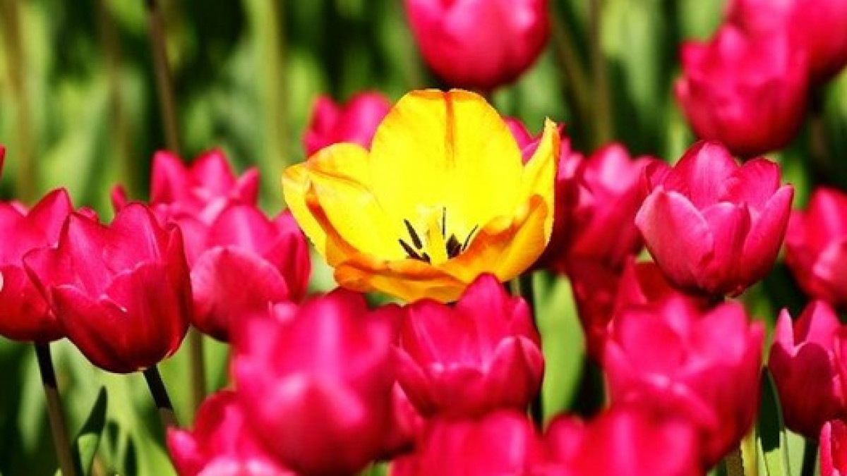 instagram.com/akimat_shymkent