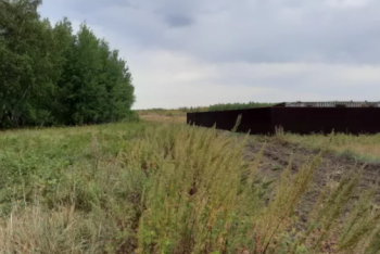 Фотография к новости: Причем тут Тимур Кулибаев? Стали известны подробности изъятия земель в Алматы