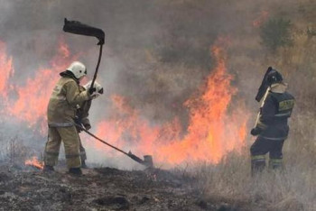 Фотография к новости: Склон горы загорелся в Алматы