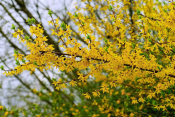 Фотография к новости: Какой будет погода в Казахстане в первые дни апреля