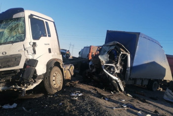 Фотография к новости: Грузовики из Казахстана попали в крупное ДТП в России