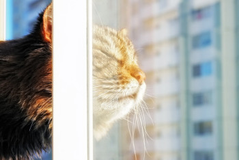 Фотография к новости: Заморозки и туман: в большинстве регионов  объявлено штормовое предупреждение