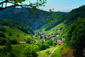 Как планируют снижать отток сельского населения в Казахстане