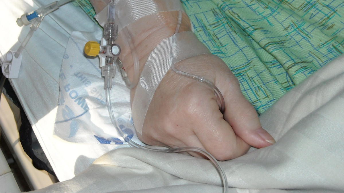 pixabay.com / иллюстративное фото