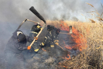 Фотография к новости: Налицо поджог – МЧС о пожаре в Атырауской области