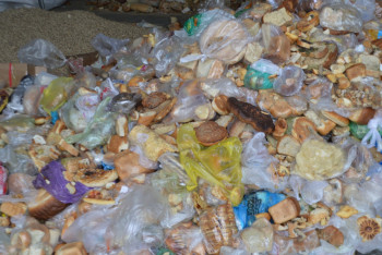 Фотография к новости: Как отсортировать домашний мусор и "заработать" на нём? Интервью с экоактивисткой