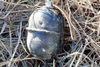 Фотография к новости: Гранату нашли на улице в Петропавловске