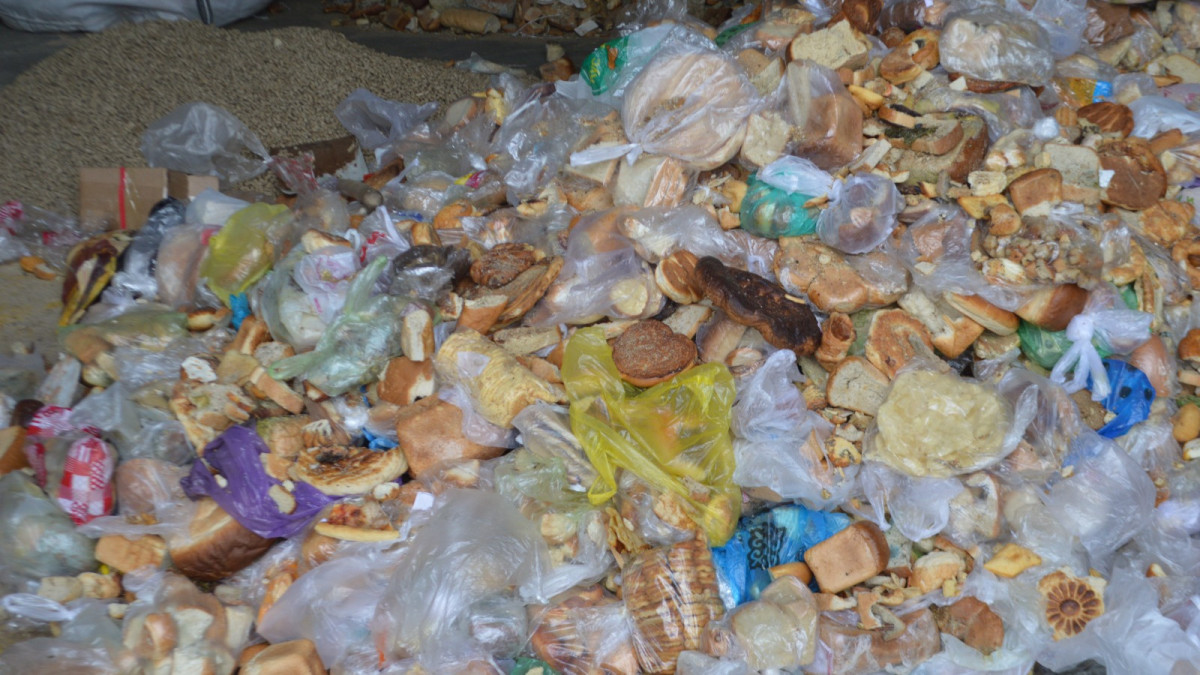 Майра Джиенгулова