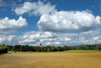 Фотография к новости: Земельные участки в Казахстане будут предоставлять в онлайн-режиме