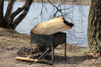 Фотография к новости: Где и как можно жарить шашлыки, чтобы не получить штраф
