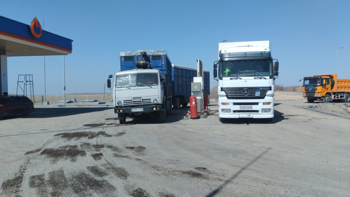 предоставлено героями статьи