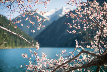 Фотография к новости: За что европейские туристы любят Алматы, рассказал французский лыжник