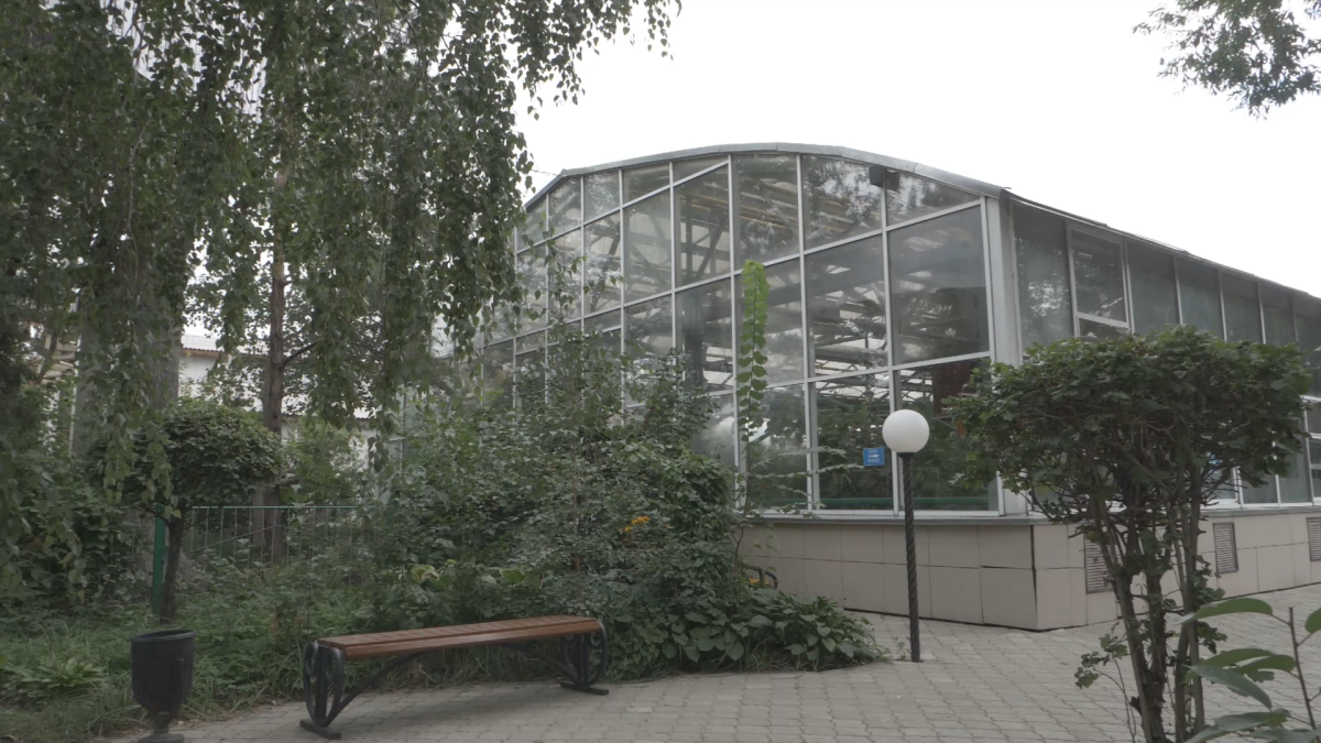 Анна Мирская