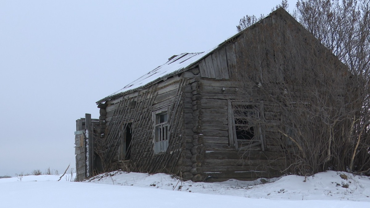 Екатерина Белоусова