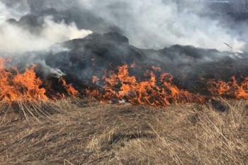 Фотография к новости: Пожар на территории аэропорта Астаны потушили