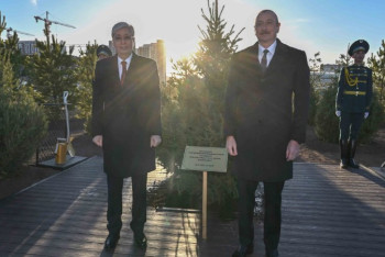 Фотография к новости: В Астане объяснили, почему выкопали посаженное президентом Азербайджана дерево